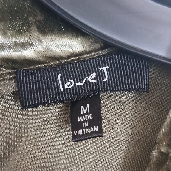 Love J Long Sleeve Velvet Dress in Green - Picture 2 of 7